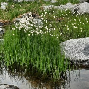 Wanderwoche 2025 Osttirol
