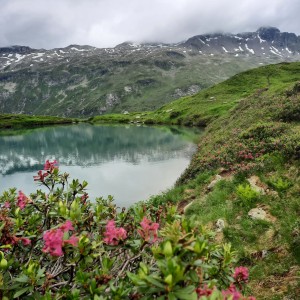 Wanderwoche 2025 Osttirol