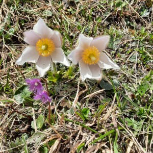 Wanderwoche 2024 Gadertal