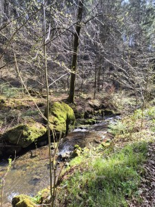 Wanderjahr 2026