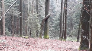 Wanderjahr 2023