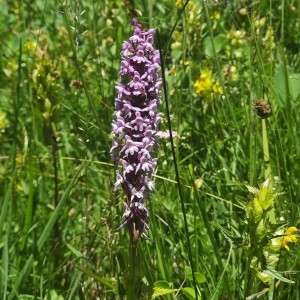 Wanderwoche 2025 Osttirol