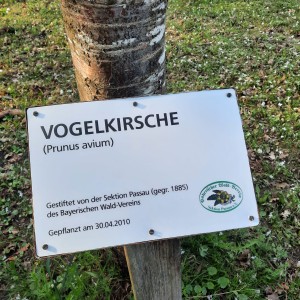 Wanderjahr 2026
